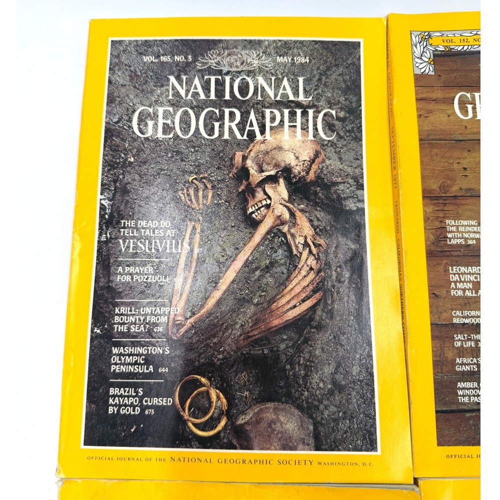National Geographic Magazines Lot 4 Oct 1964 August 1998 Sept 1977 May 1994 - Picture 5 of 6